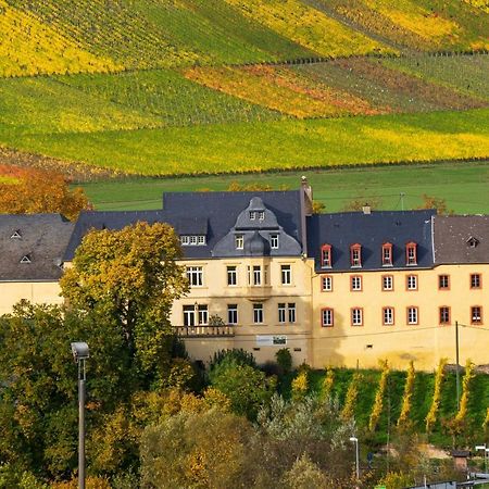 Wohnen Auf Dem Weingut - Klein Und Fein - Wengertssube Apartamento Maring-Noviand Exterior foto