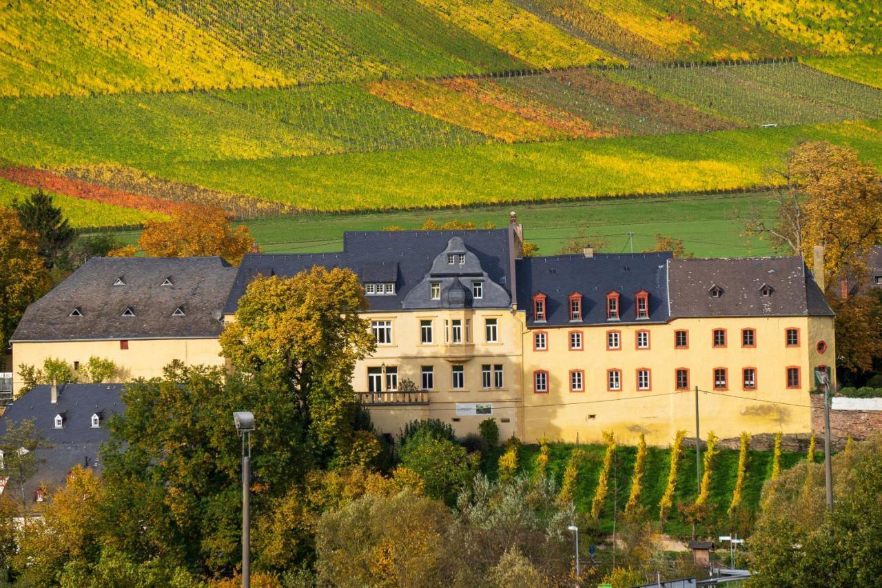 Wohnen Auf Dem Weingut - Klein Und Fein - Wengertssube Apartamento Maring-Noviand Exterior foto